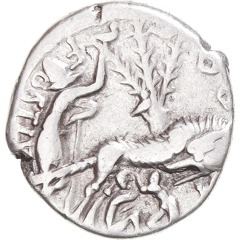 Coin, Pompeia, Denarius, 137 BC, Rome, EF(40-45), Silver, Crawford:235/1
