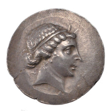 Aeolis, Kyme (190 Av. JC), Kyme, Amazon, Tetradrachm, AU(55-58), Silver, Pozzi..