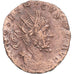 Moneda, Tetricus I, Antoninianus, 271-274, Cologne, BC+, Vellón, RIC:141