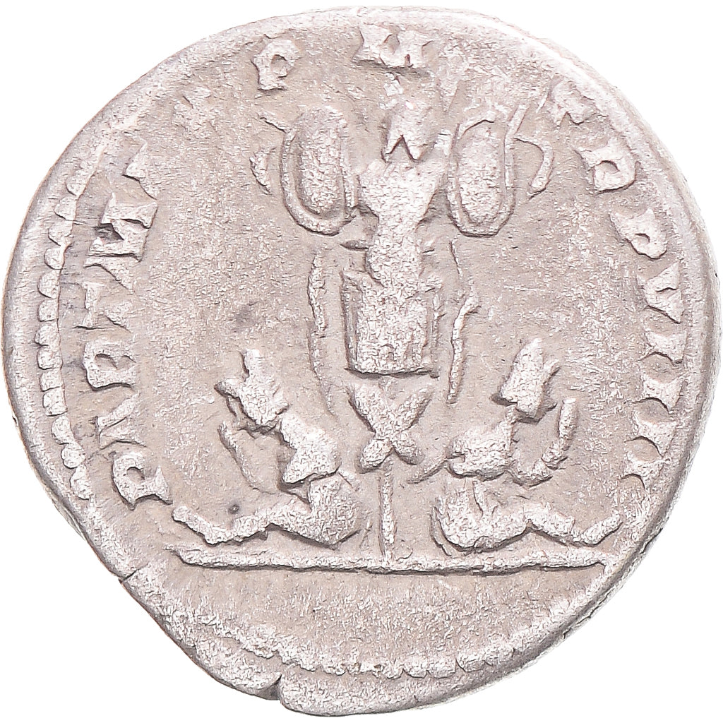 Coin, Septimius Severus, Denarius, 201, Rome, VF(30-35), Silver, RIC:176