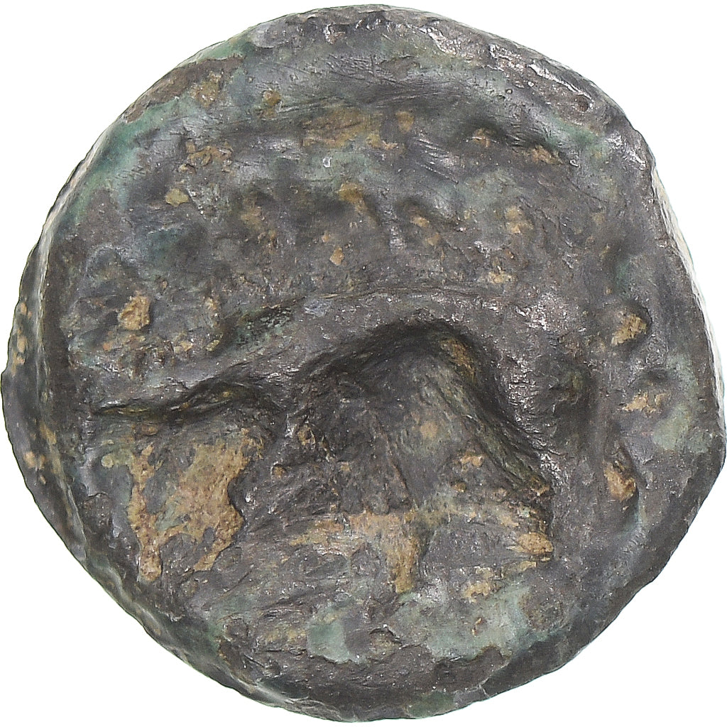 Moneta, Leuci, Potin au Sanglier, 1st century BC, Gaul, MB+, Bronzo