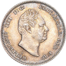 Coin, Great Britain, Guillaume IV, 4 Pence, 1836, AU(50-53), Silver