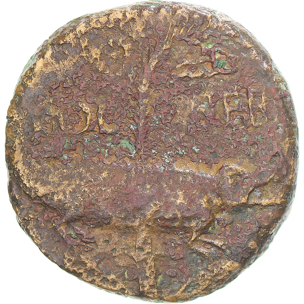 Coin, Augustus & Agrippa, As, 10-14 AD, Nîmes, F(12-15), Bronze