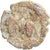 Coin, Heraclius & Heraclius Constantin, 12 Nummi, 610-641, Alexandria