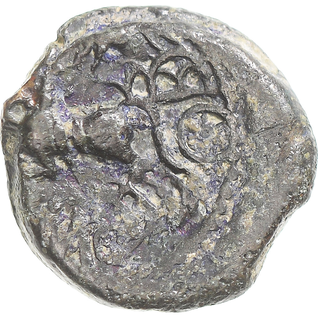 Münze, Remi, Bronze aux trois bustes / REMO, 60-40 BC, S, Bronze