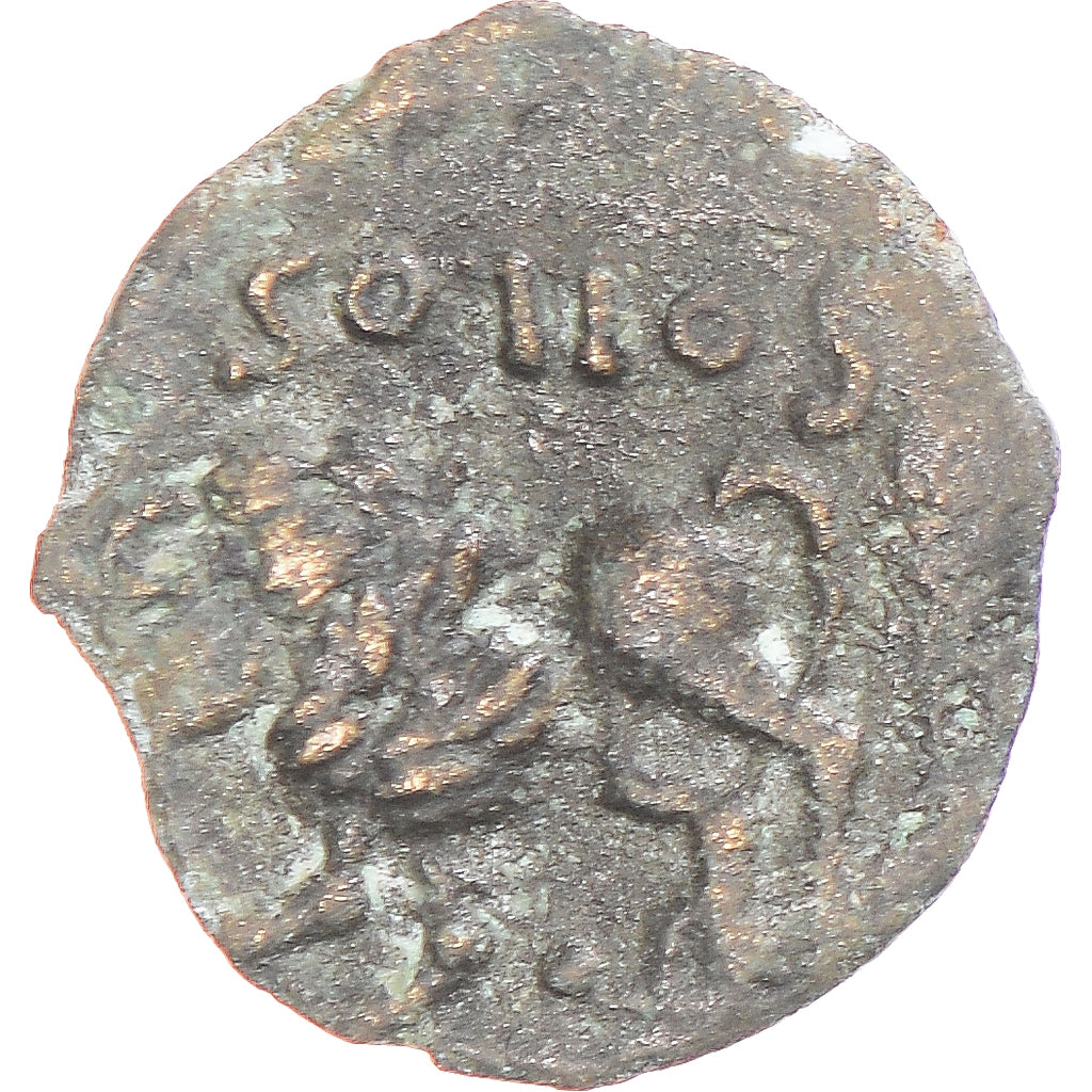 Coin, Veromandui, Bronze au lion / SOLLOS, 1st century BC, VF(20-25), Bronze