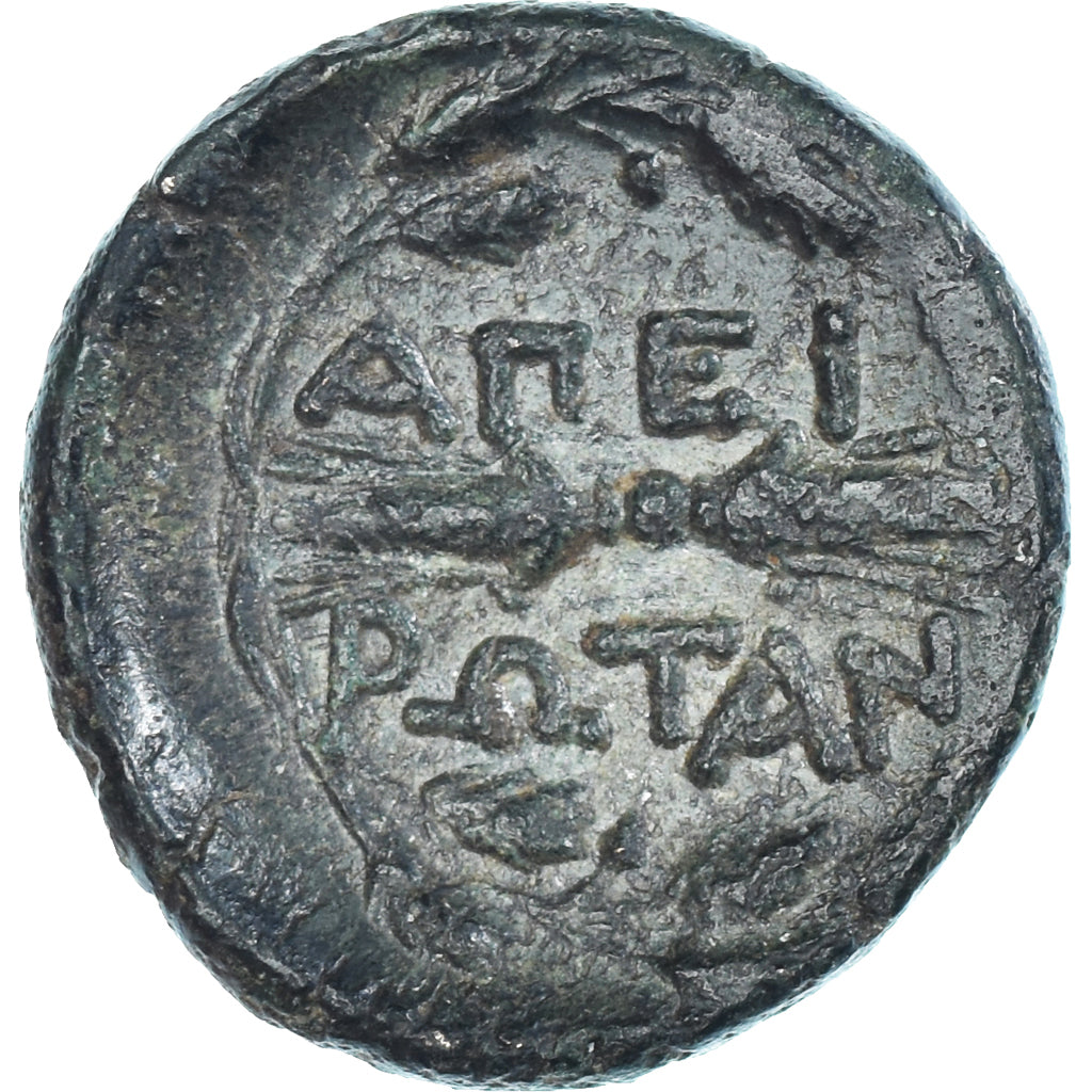 Coin, Epeiros, Æ, 234-168 BC, EF(40-45), Bronze, SNG-Cop:128