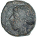 Coin, Sicily, Hemilitron, 466-405 BC, Syracuse, VF(20-25), Bronze