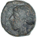 Moneta, Sicily, Hemilitron, 466-405 BC, Syracuse, MB, Bronzo, SNG-ANS:403-414