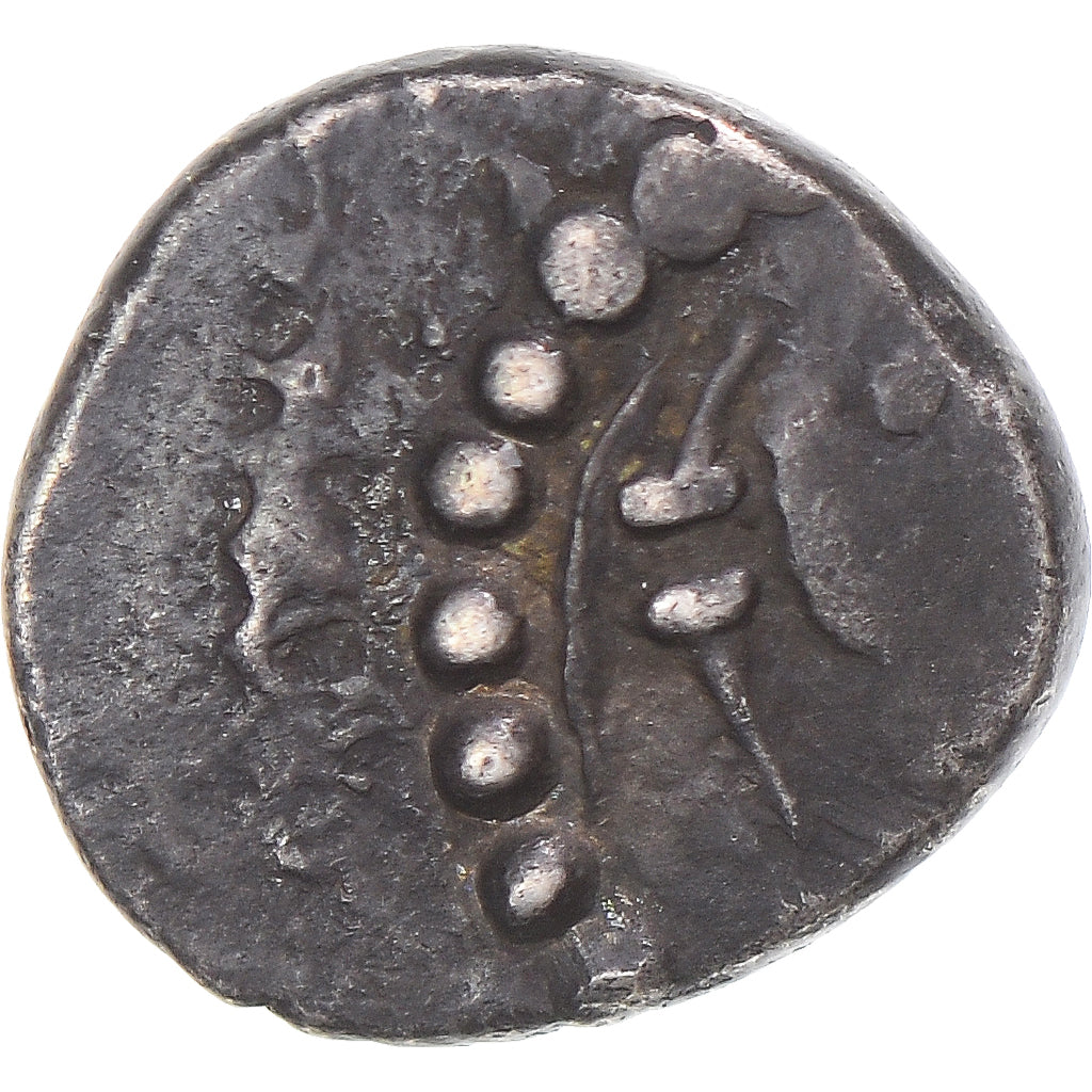 Münze, Aedui, Denarius DIASVLOS, 1st century BC, SS, Silber, Latour:4871