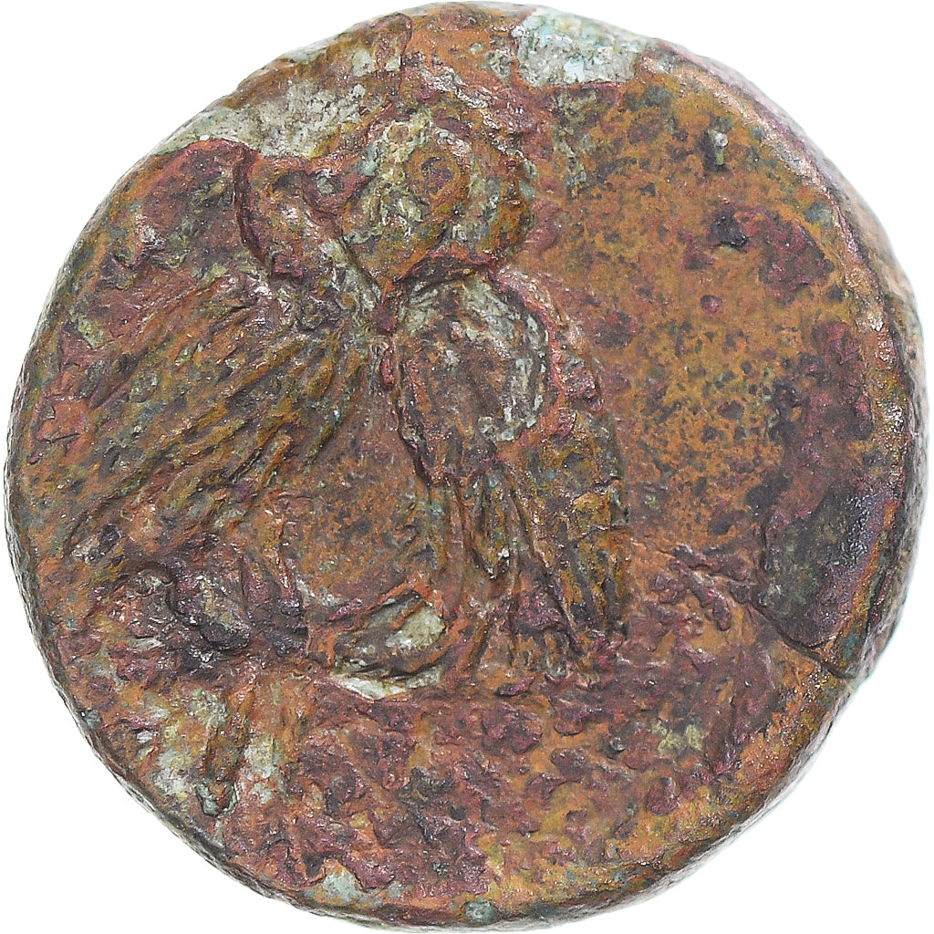 Coin, Troas, Unit, 4th-3rd century BC, Sigeion, VF(30-35), Bronze