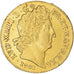 Monnaie, France, Louis XIV, Louis d'or aux 8 L et aux insignes, 1701, Lyon