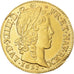 Monnaie, France, Louis XIV, Louis d'or à la mèche longue, 1651, Paris, TTB+