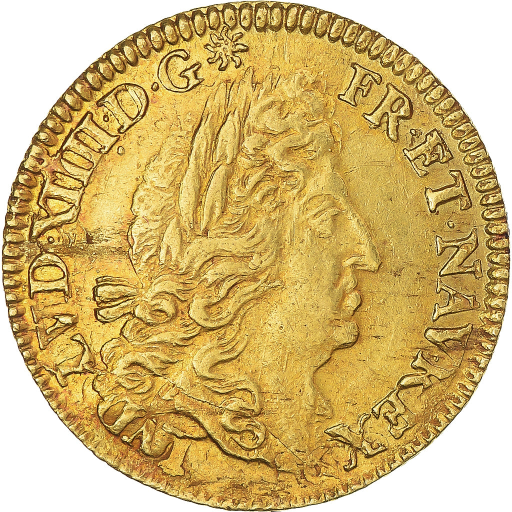 Monnaie, France, Louis XIV, Louis d'or à l'écu, 1691, Paris, réformé, TTB+