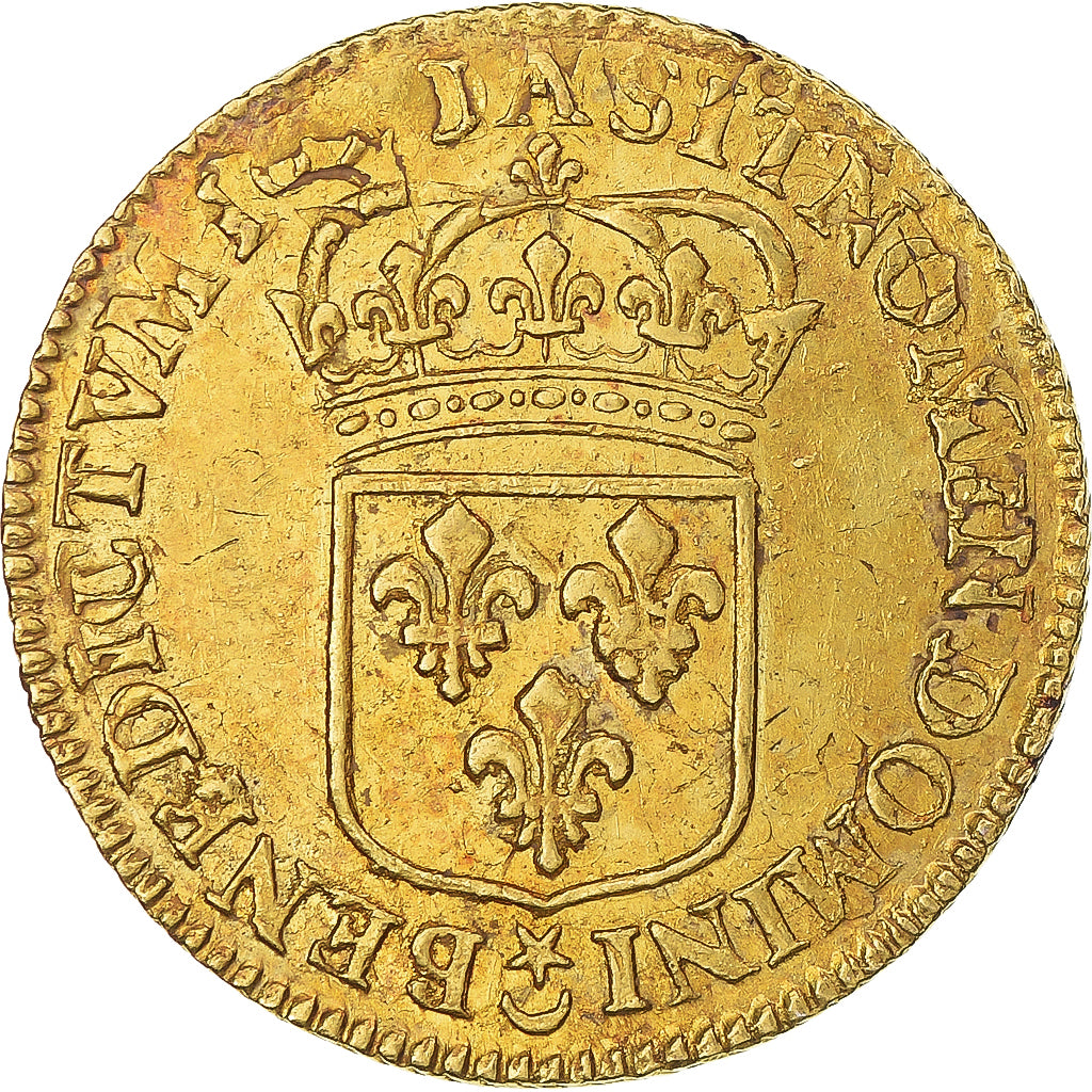 Monnaie, France, Louis XIV, Louis d'or à l'écu, 1691, Paris, réformé, TTB+