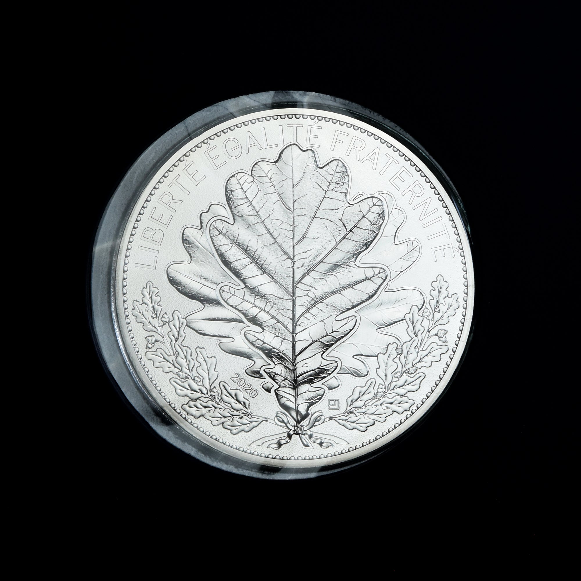 France, 100 Euro, Le Chêne, 2020, Paris, MS(65-70), Silver