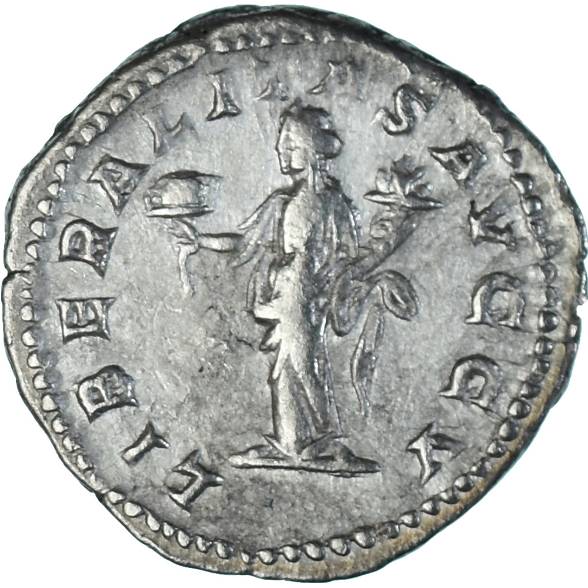 Coin, Septimius Severus, Denarius, 202-210, Rome, EF(40-45), Silver, RIC:277