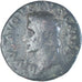 Coin, Divus Augustus, As, 22-30 AD, Rome, VF(30-35), Bronze, RIC:81