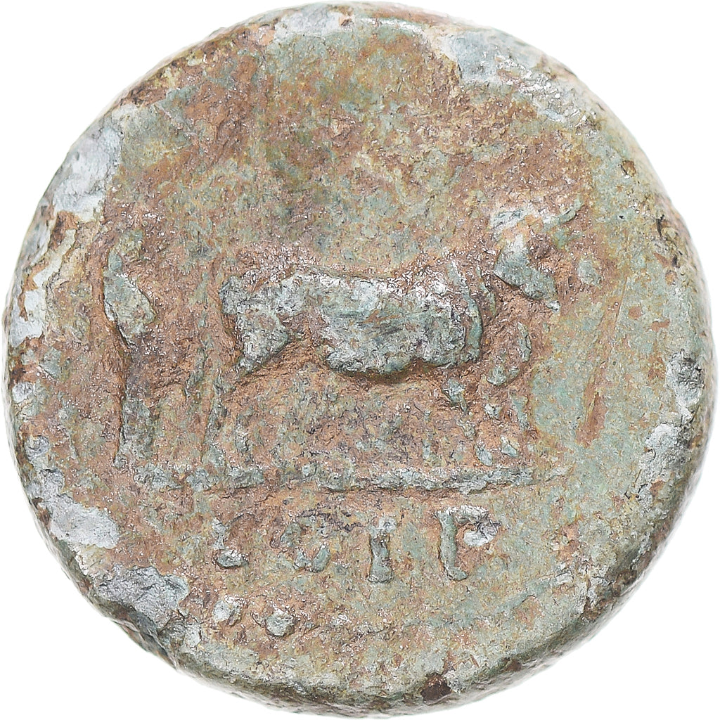 Moeda, Mísia, Nerva, Æ, 96-98, Parium, VF(30-35), Bronze, RPC:1533