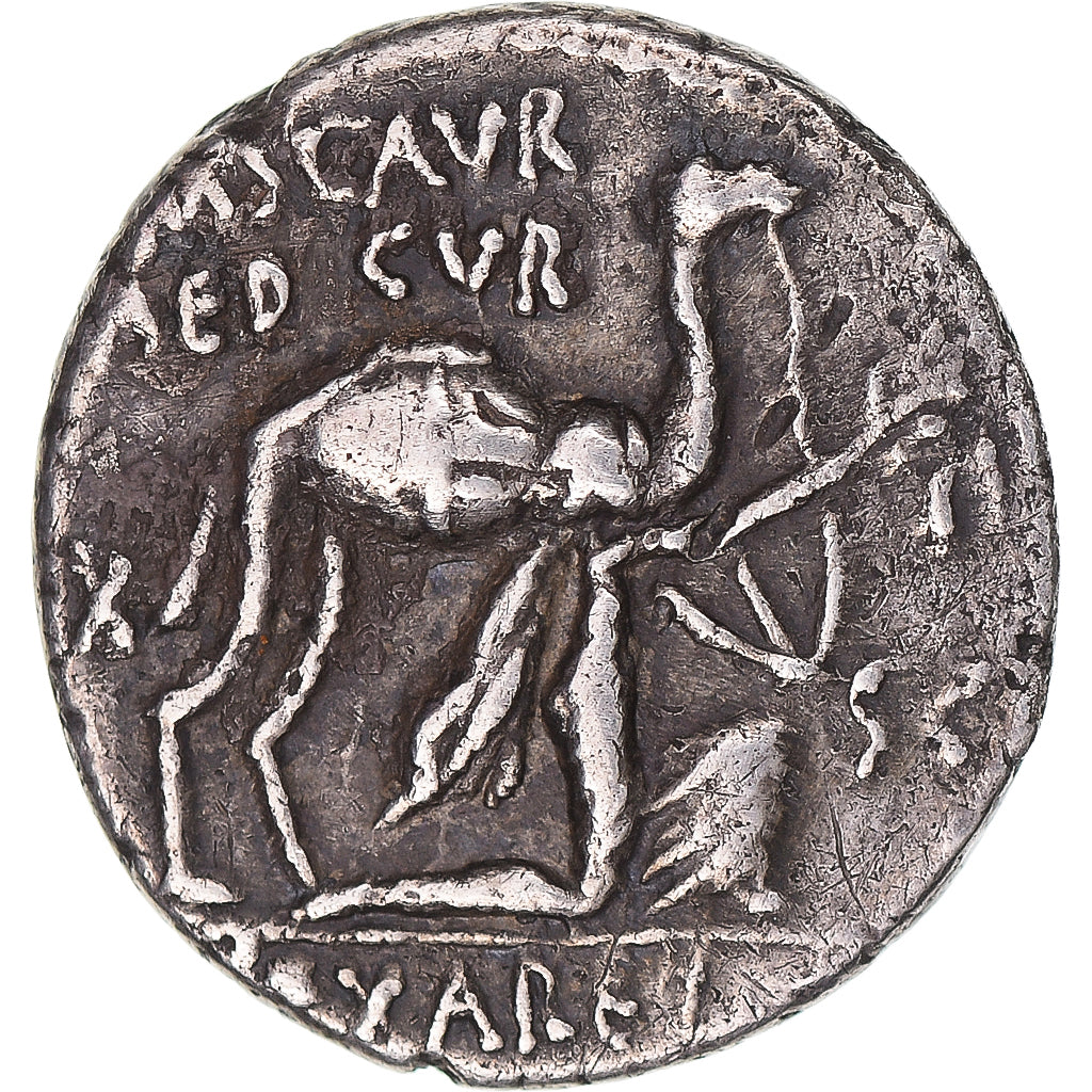 Coin, Aemilia, Denarius, 58 BC, Rome, EF(40-45), Silver, Crawford:422/1b