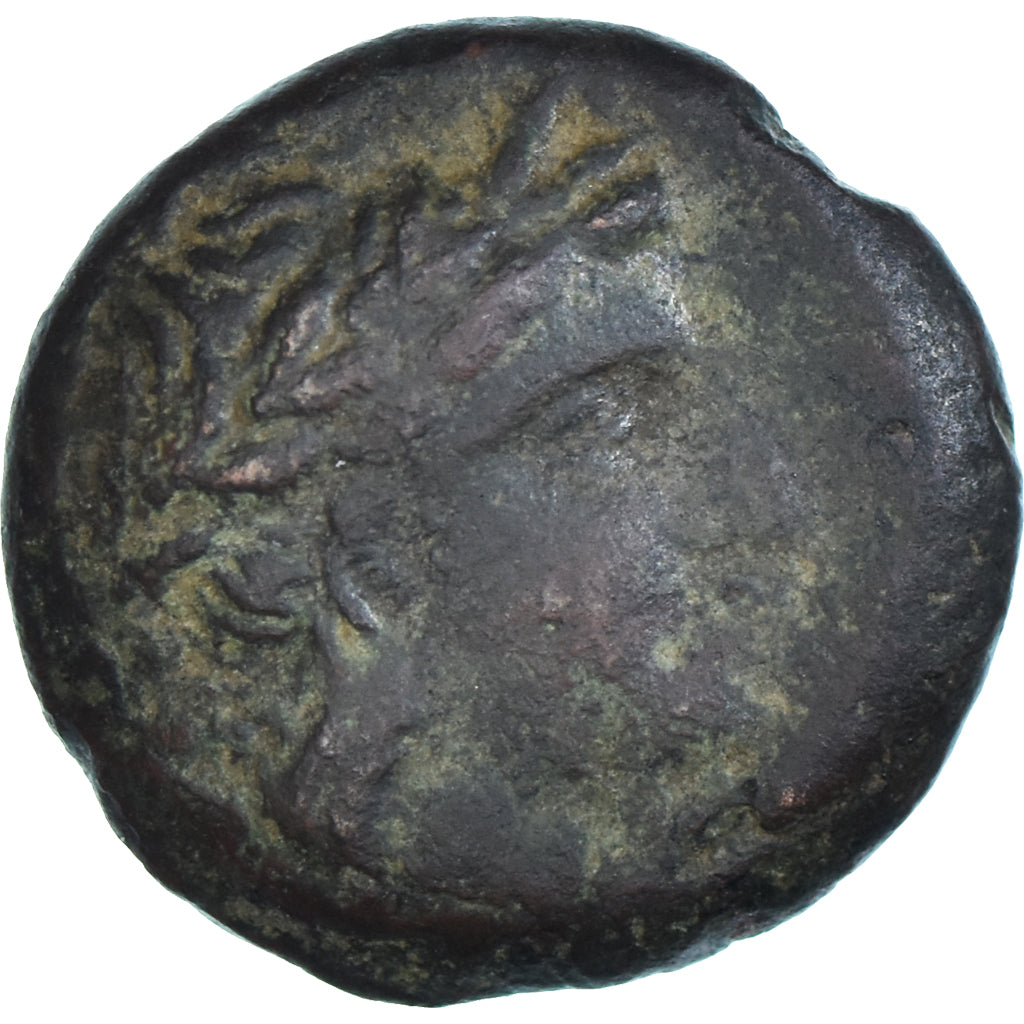 Coin, Seleukid Kingdom, Æ, 3rd-2nd century BC, VF(20-25), Bronze