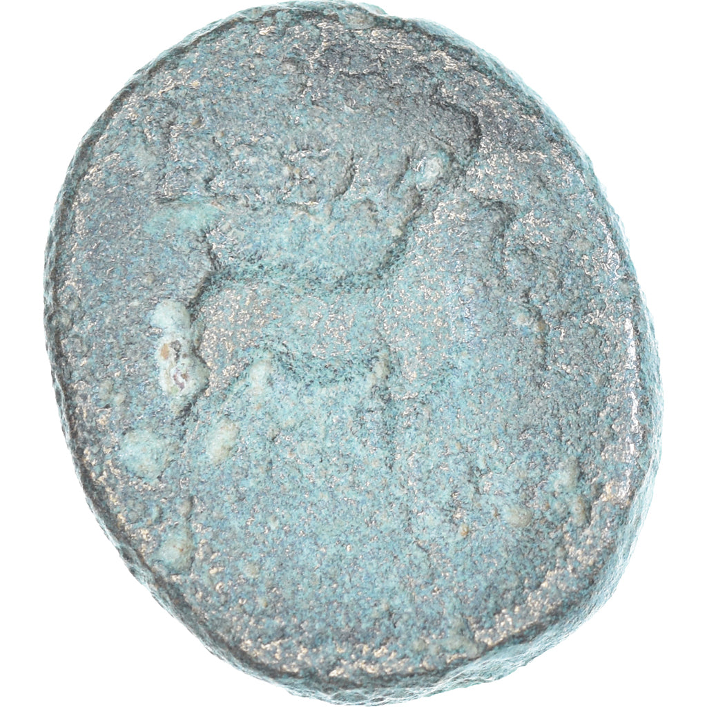 Moneta, Macedonia, Æ, 187-31 BC, Thessalonica, VF(20-25), Brązowy, SNG-ANS:766