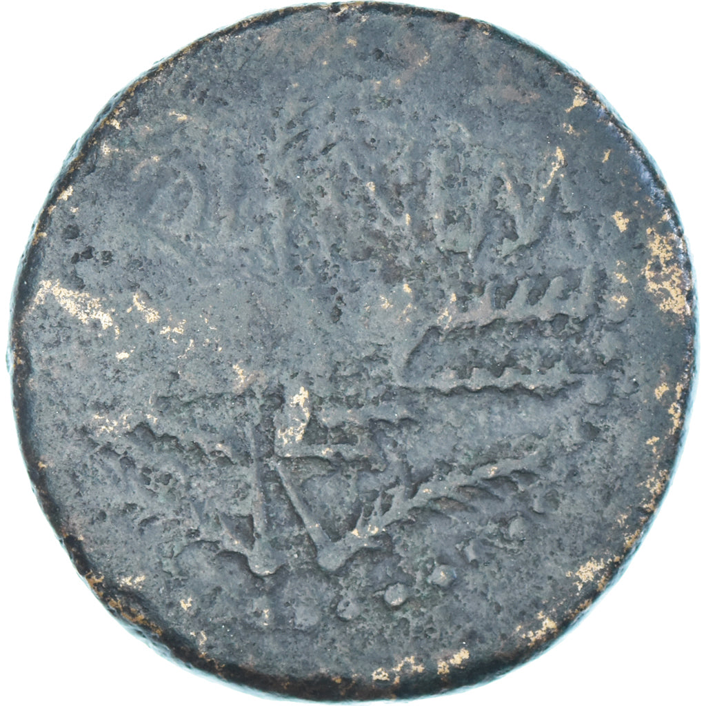 Monnaie, Augustus & Agrippa, Dupondius, 20-10 BC, Nîmes, TB, Bronze, RIC:154