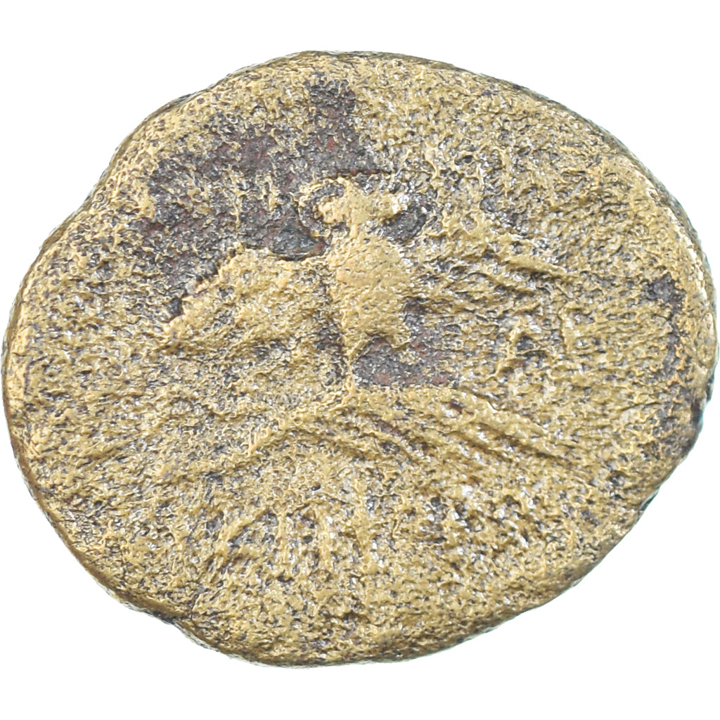 Coin, Mysia, Æ, 80-10 BC, Pergamon, F(12-15), Bronze