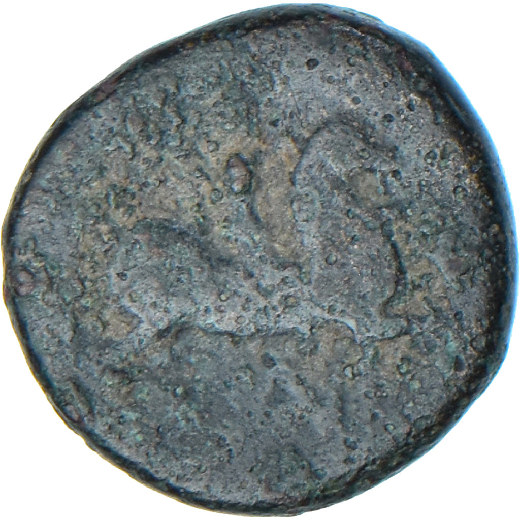 Moneta, Kingdom of Macedonia, Uncertain King, Æ, 3rd-2nd century BC, B+, Bronzo