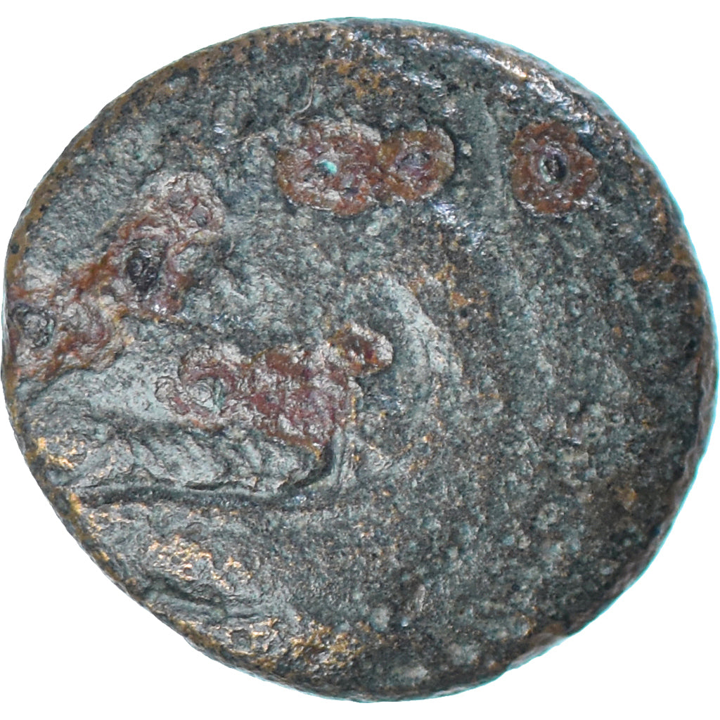 Coin, Kingdom of Macedonia, Uncertain King, Æ, 3rd-2nd century BC, VF(20-25)
