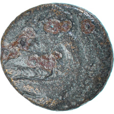Coin, Kingdom of Macedonia, Uncertain King, Æ, 3rd-2nd century BC, VF(20-25)