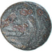 Coin, Kingdom of Macedonia, Uncertain King, Æ, 3rd-2nd century BC, VF(20-25)