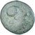 Monnaie, Thrace, Lysimaque, Æ, 305-281 BC, Lysimacheia, TB, Bronze
