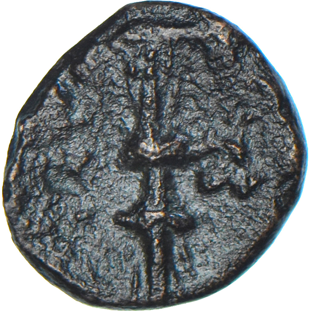 Coin, Thrace, Æ, 3rd-2nd century BC, Perinthos, VF(20-25), Bronze