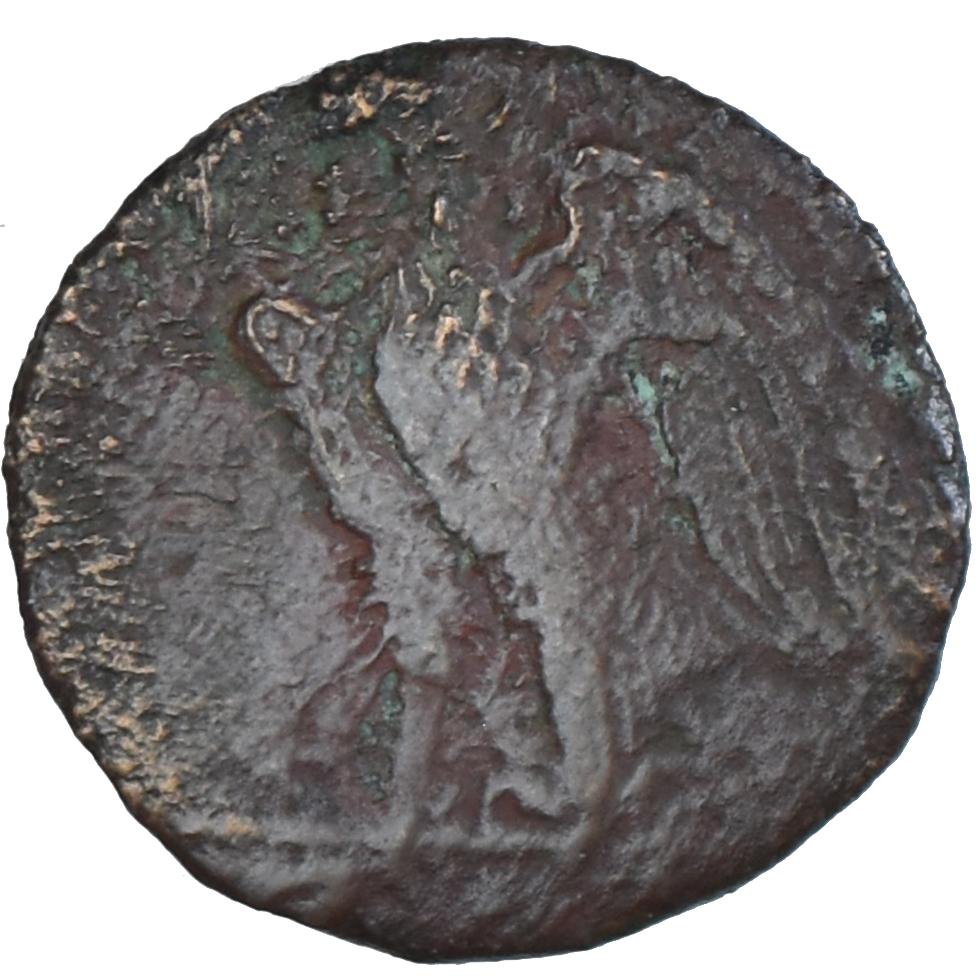 Coin, Egypt, Ptolemy II Philadelphos, Obol, 285-246 BC, Uncertain Mint