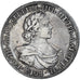 Moneta, Russia, Peter I, Rouble, 1718, Saint-Petersburg, Różnorodność
