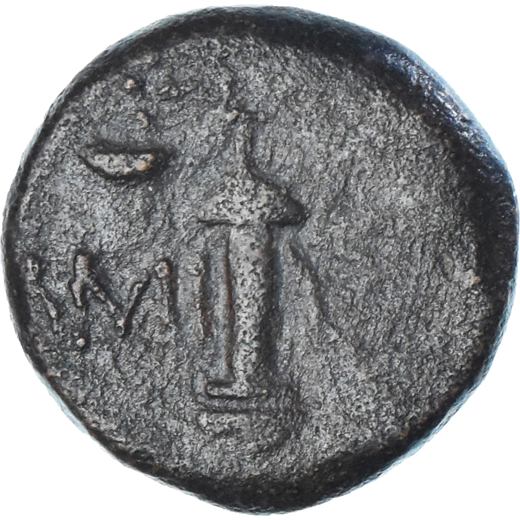 Münze, Pontos, Æ, 2nd-1st century BC, Amisos, SGE+, Bronze
