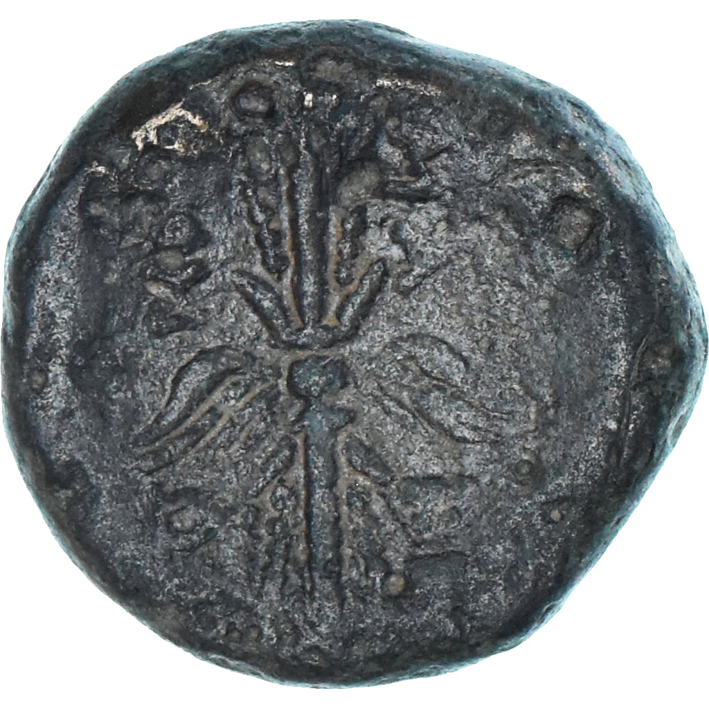 Münze, Seleukid Kingdom, Seleukos I, Æ, 312-281 BC, Seleucia Pieria, SGE+