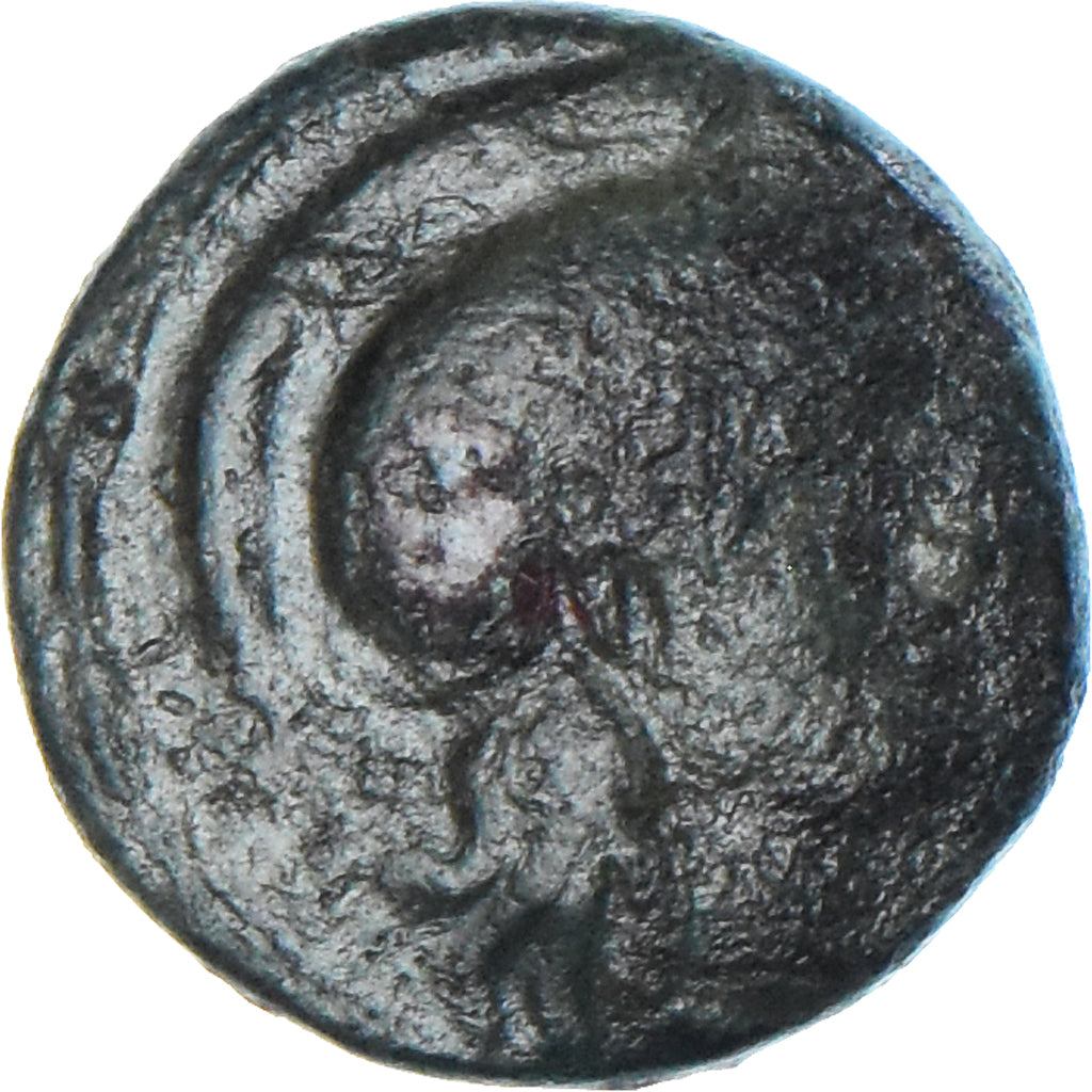 Coin, Thrace, Lysimachos, Æ, 305-281 BC, VF(20-25), Bronze, SNG-Cop:1159