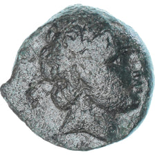 Coin, Seleucid Empire (305 – 64 BC), Æ, Uncertain date, Antioch, VF(20-25)