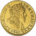 Moneta, Francja, Louis XIII, 1/2 Louis d'or, 1643, Paris, AU(55-58), Złoto