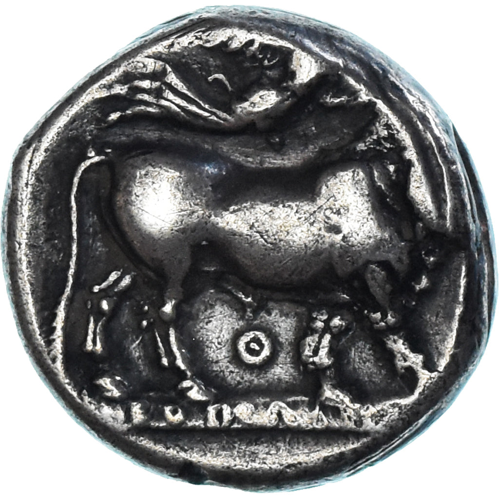 Münze, Campania, Didrachm, ca. 340-317 BC, Neapolis, SS, Silber