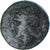 Moneta, Campania, Æ, ca. 326-300 BC, Neapolis, VF(20-25), Brązowy, SNG-ANS:441