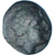 Moneda, Thrace, Æ, ca. 270-250 BC, Odessos, BC+, Bronce