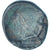 Moneta, Tracja, Æ, ca. 270-250 BC, Odessos, VF(30-35), Brązowy