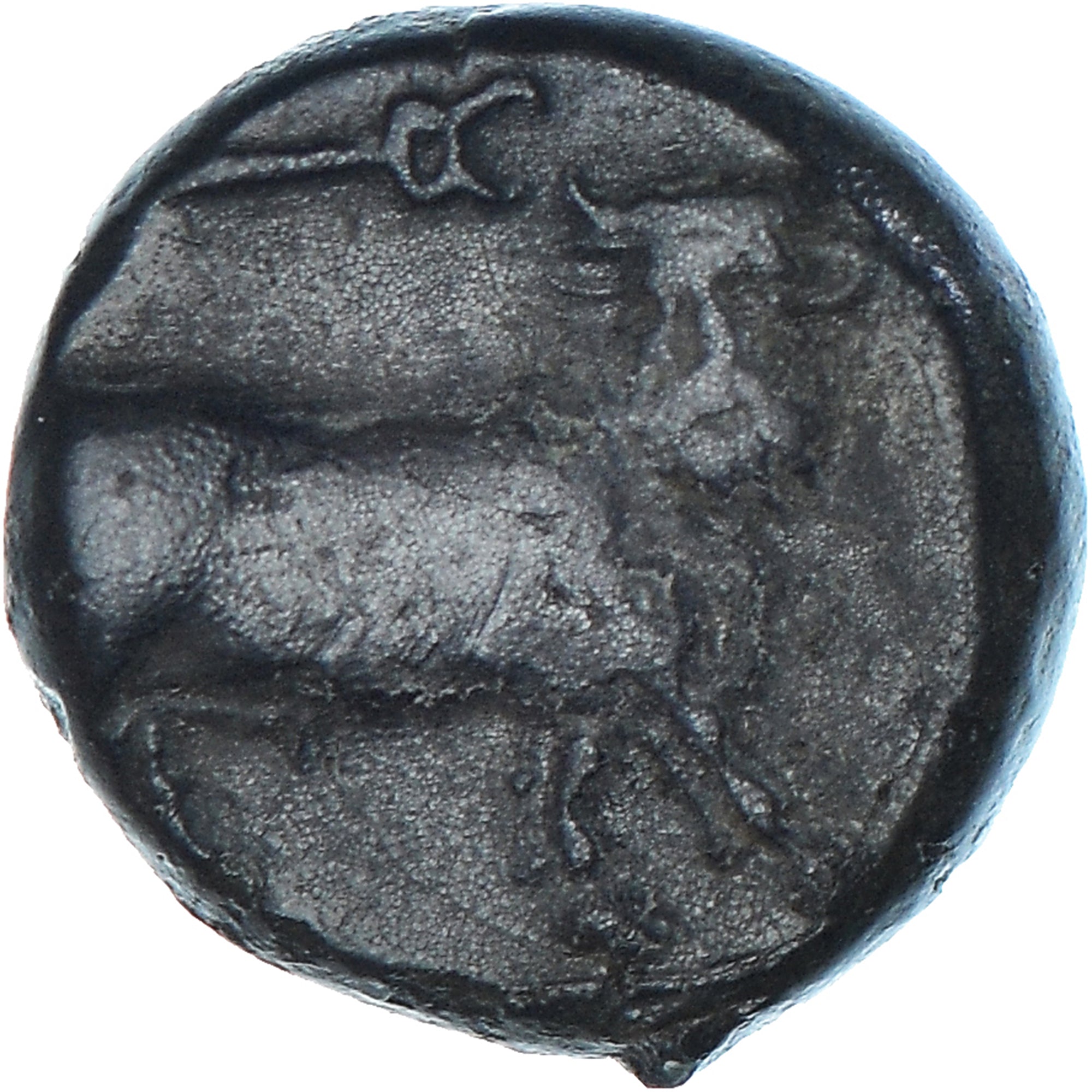 Münze, Campania, Æ, ca. 317-270 BC, Neapolis, SS, Bronze, SNG-Cop:493