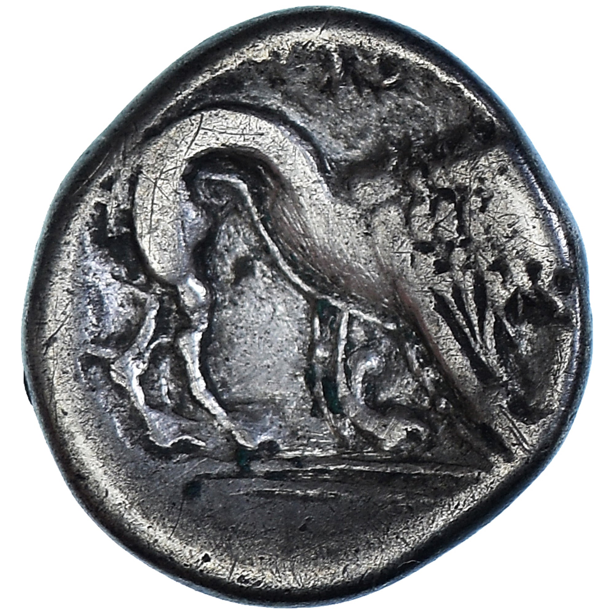 Monnaie, Cisalpine Gaul, Celto-Ligures, Drachme, ca. 3rd century BC, TB+