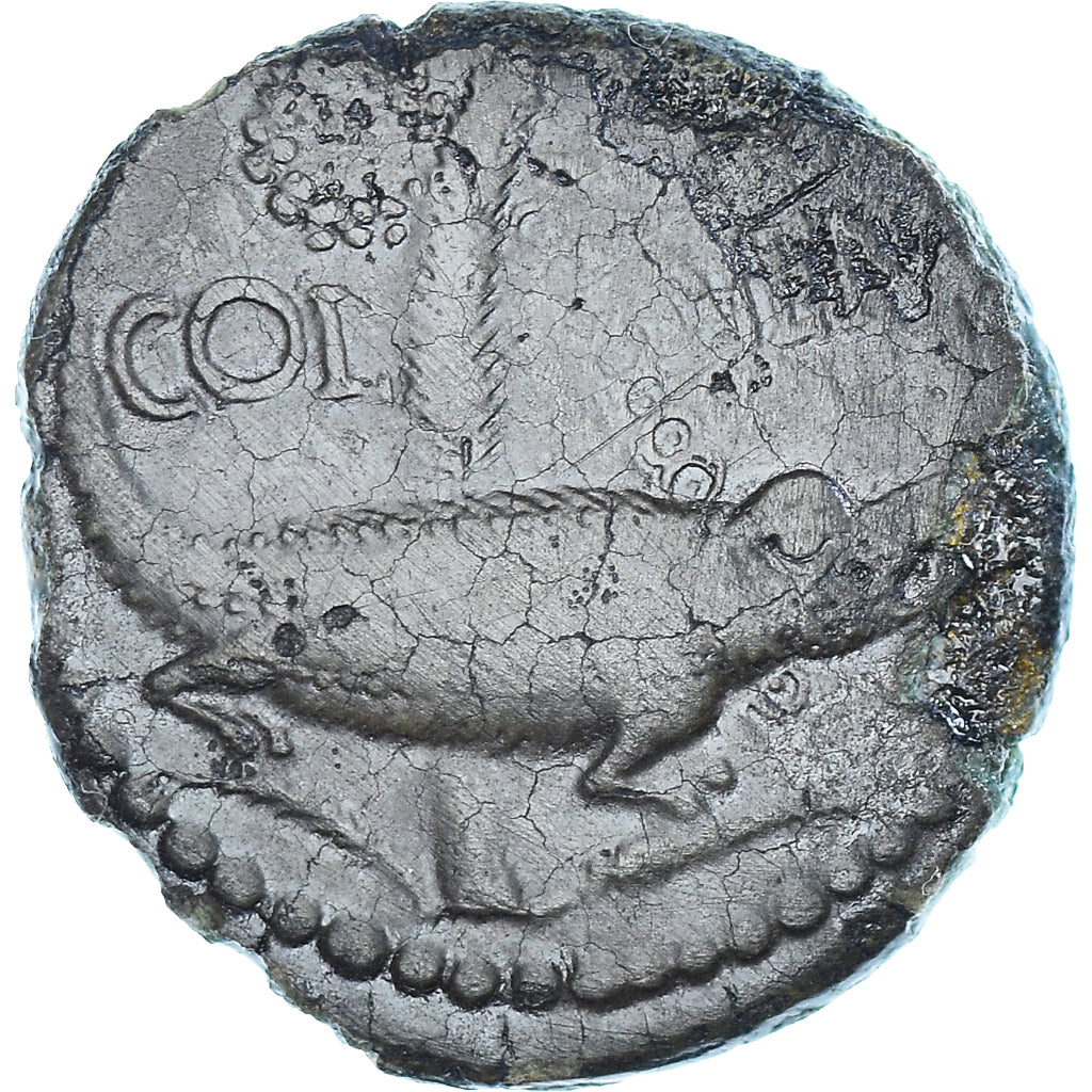 Coin, Nemausus, Augustus & Agrippa, As, 9-3 BC, Nîmes, VF(30-35), Bronze