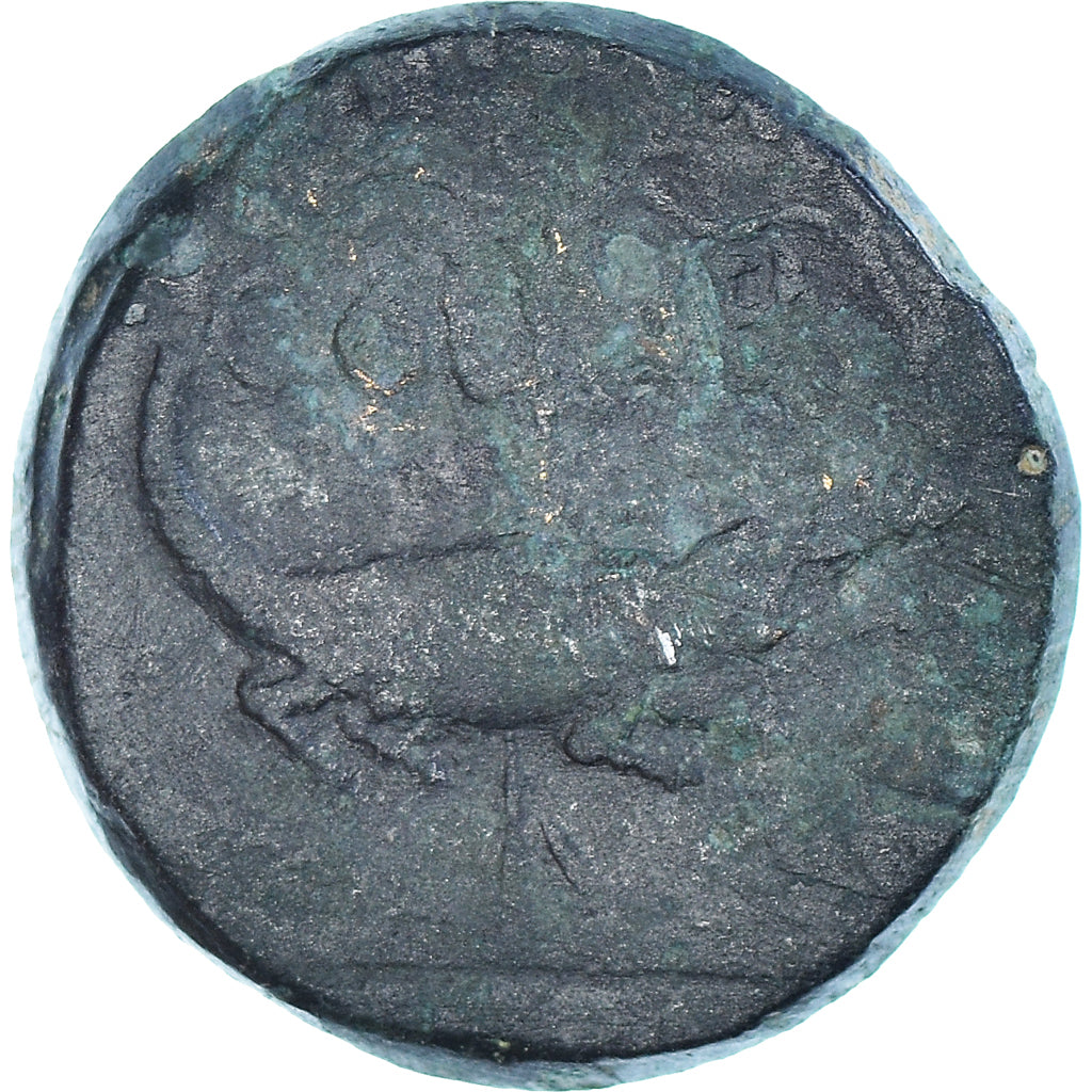 Coin, Nemausus, Augustus & Agrippa, As, 20-10 BC, Nîmes, EF(40-45), Bronze