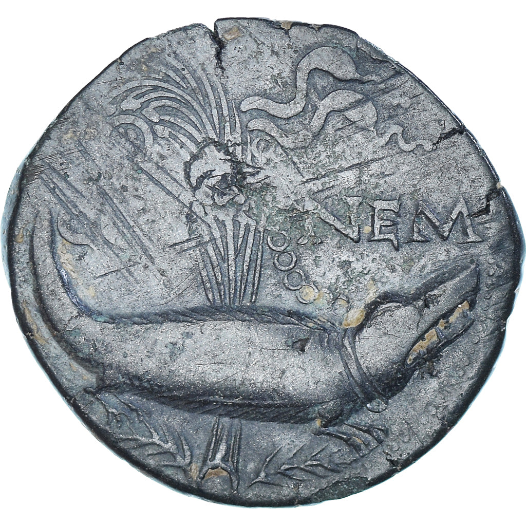 Coin, Nemausus, Augustus & Agrippa, As, 10-14 AD, Nîmes, VF(30-35), Bronze